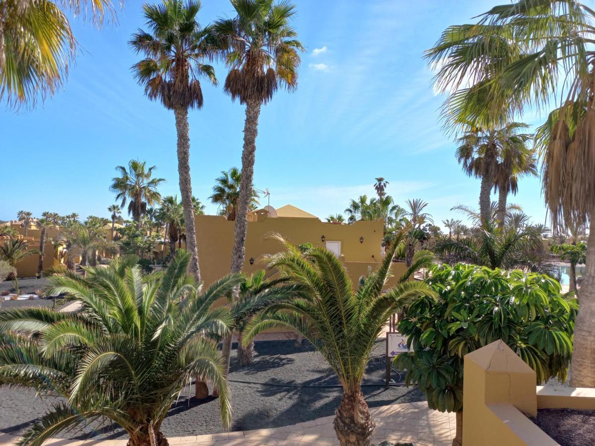 Apartamentos Corralejo Playa Oasis מראה חיצוני תמונה